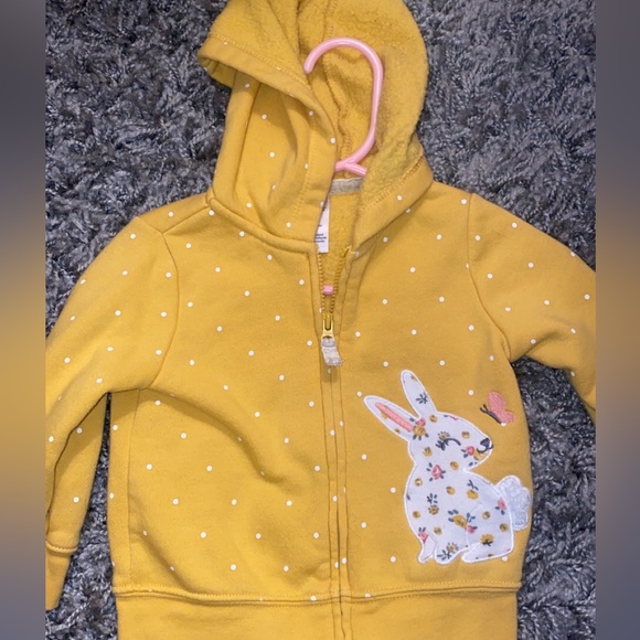 Carter's Other - ✨5/$25✨Hoodie 9m girl